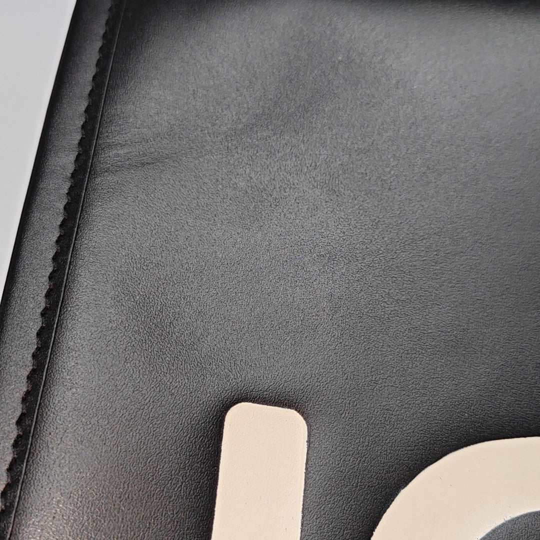 Sunshine Medium Calfskin Black