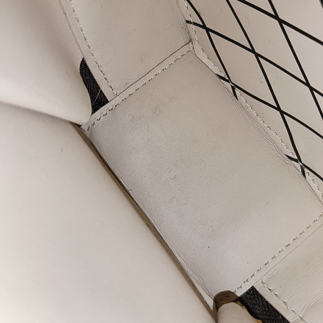 BOITE CHAPEAU Mini Monogram Coated Canvas Brown