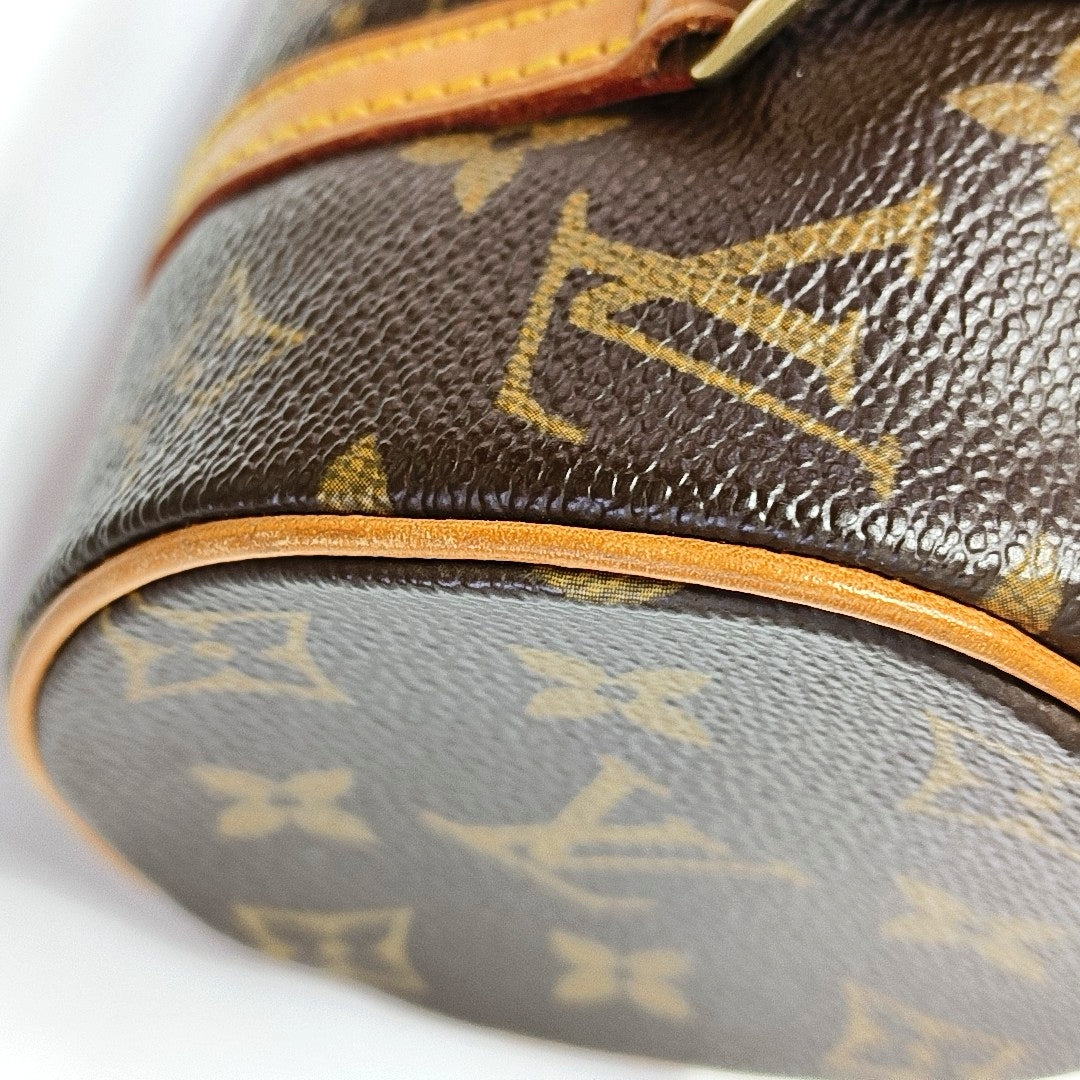 PAPILLON 19 Monogram Coated Canvas Brown