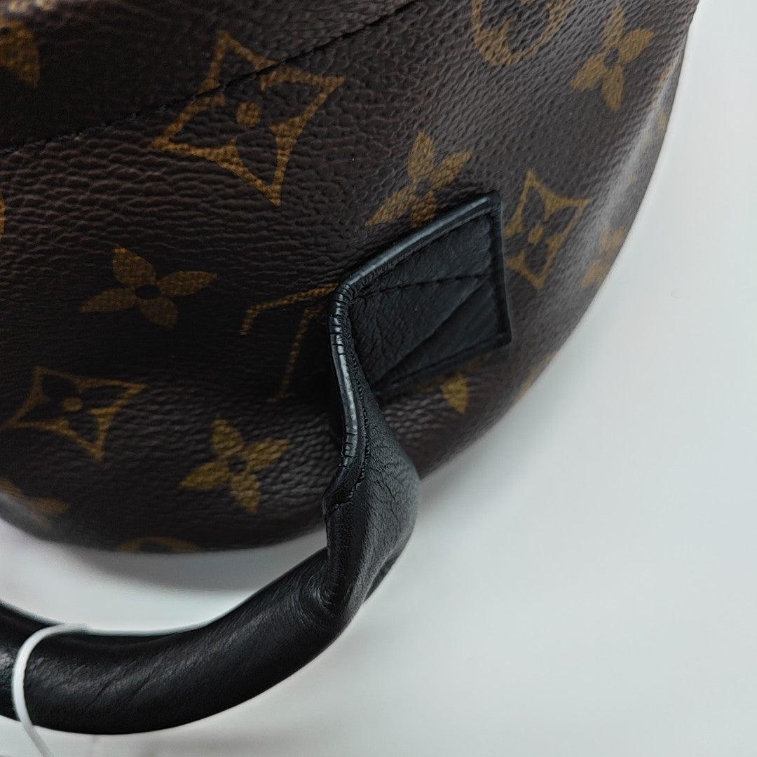 PALM SPRINGS PM Monogram Coated Canvas Brown