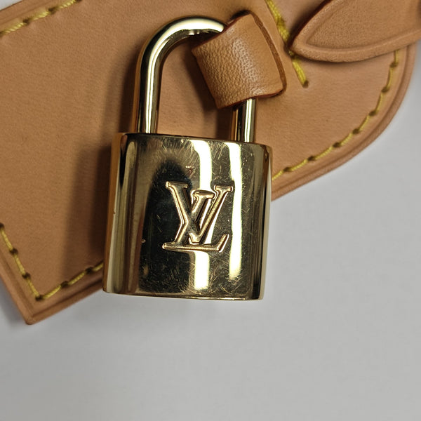 ALL IN Monogram Coated Canvas Brown