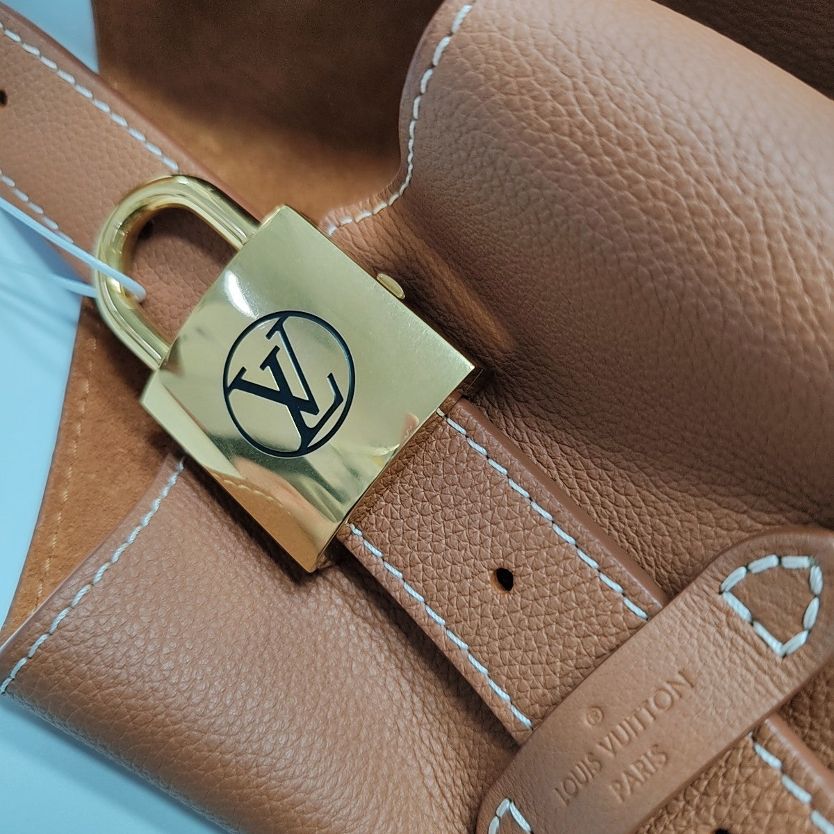 LOW KEY HOBO PM Monogram Calfskin Brown