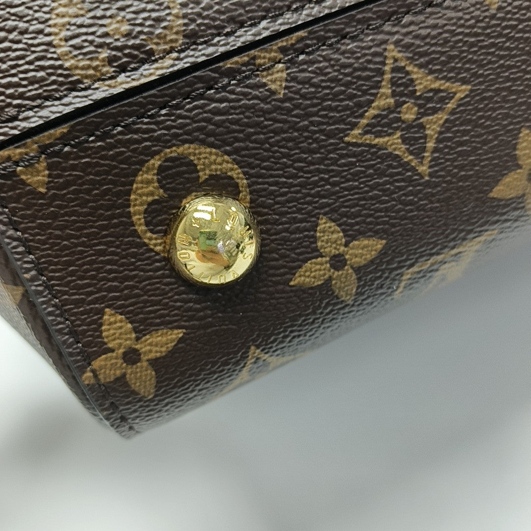 CLUNY MM Monogram Coated Canvas Brown