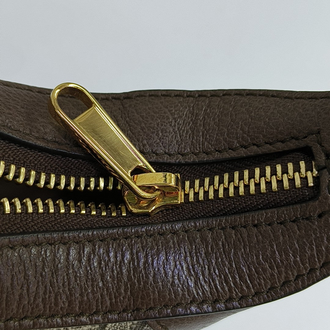Ophidia Mini Monogram Coated Canvas Beige