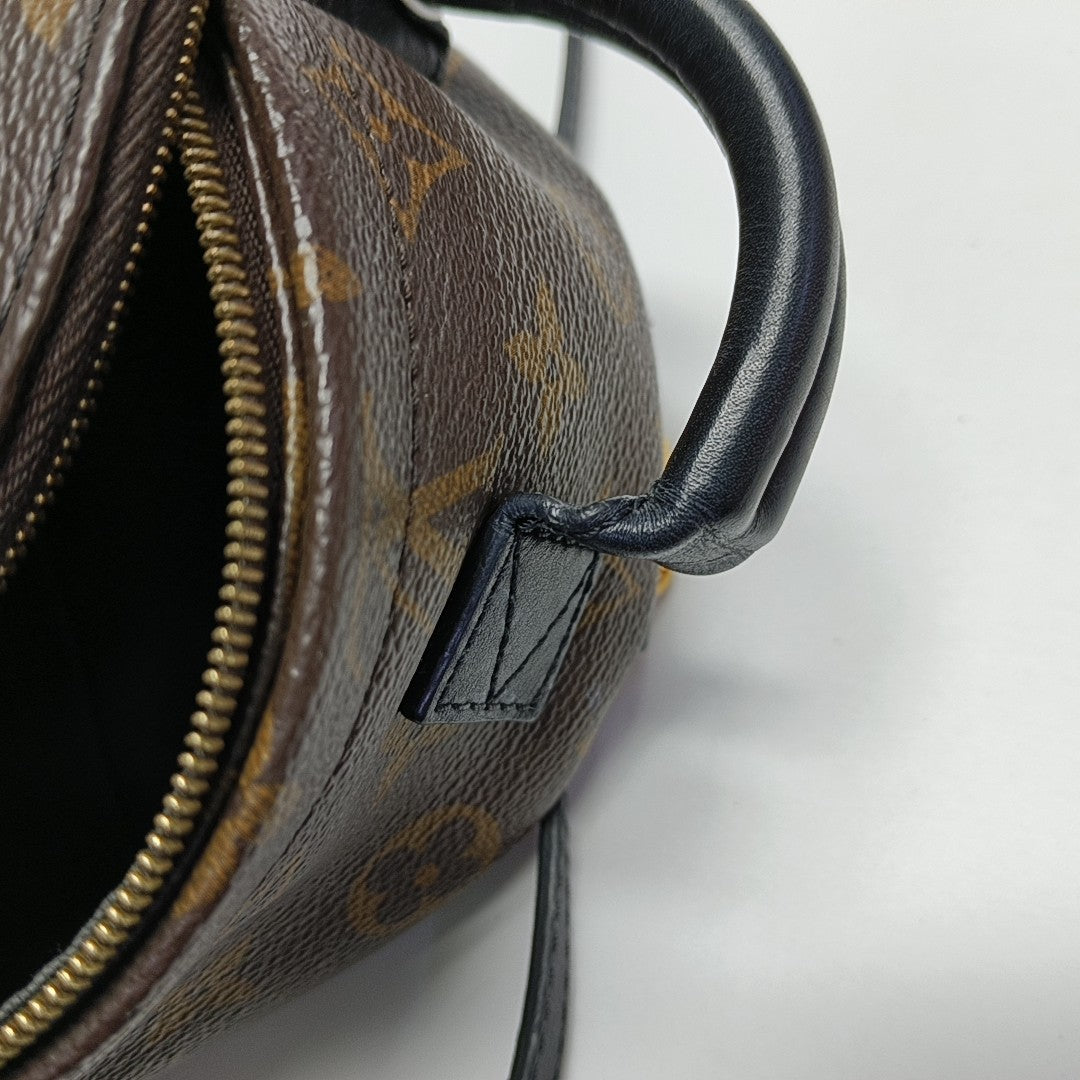 PALM SPRINGS Mini Monogram Coated Canvas Brown