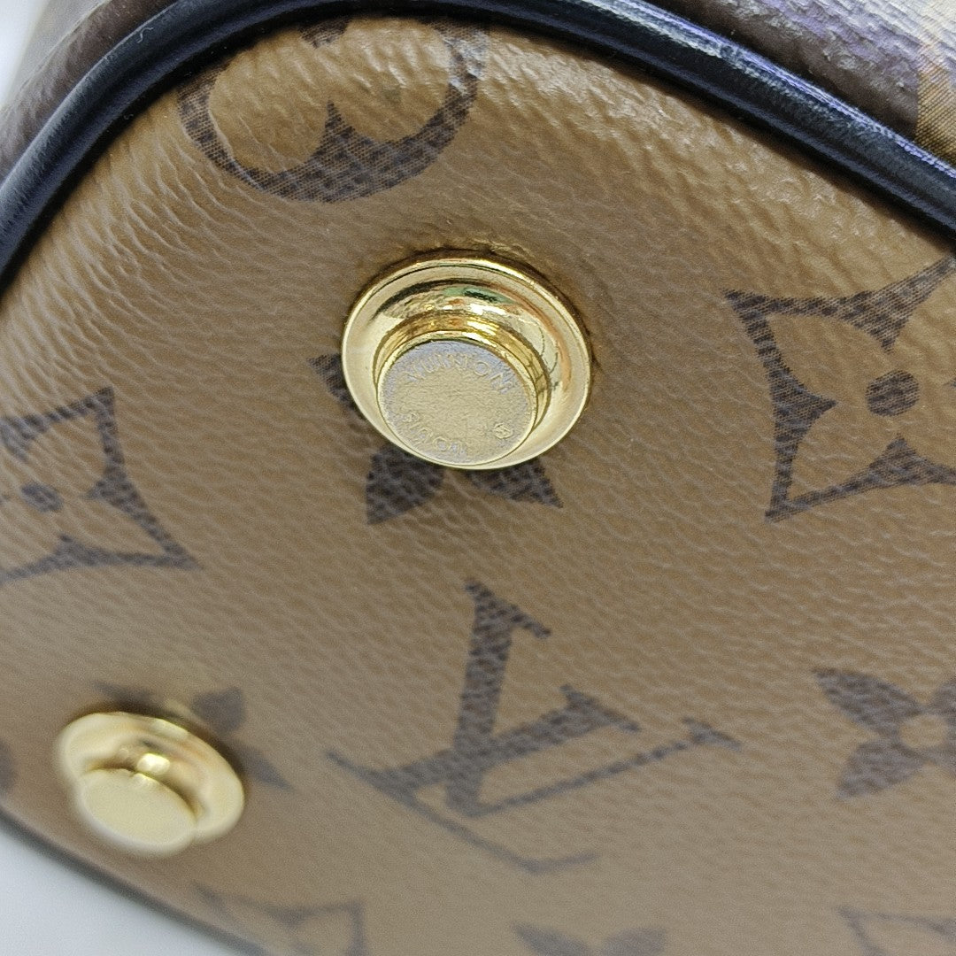 VANITY PM Monogram Coated Canvas Brown