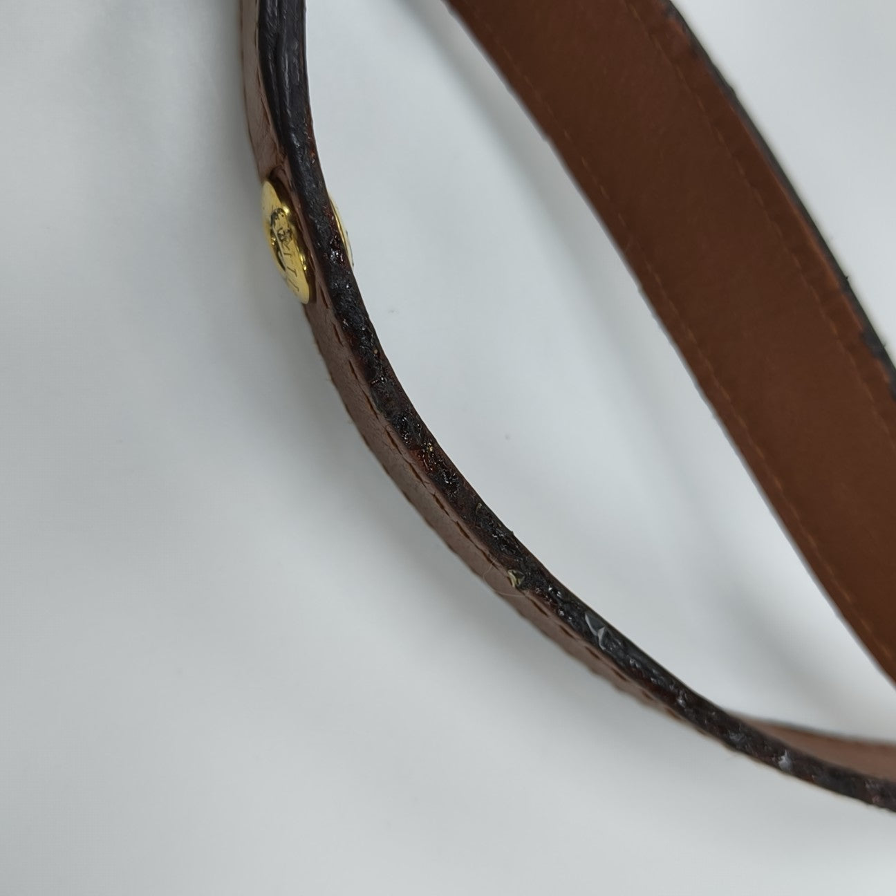 DAUPHINE MM Monogram Coated Canvas Brown