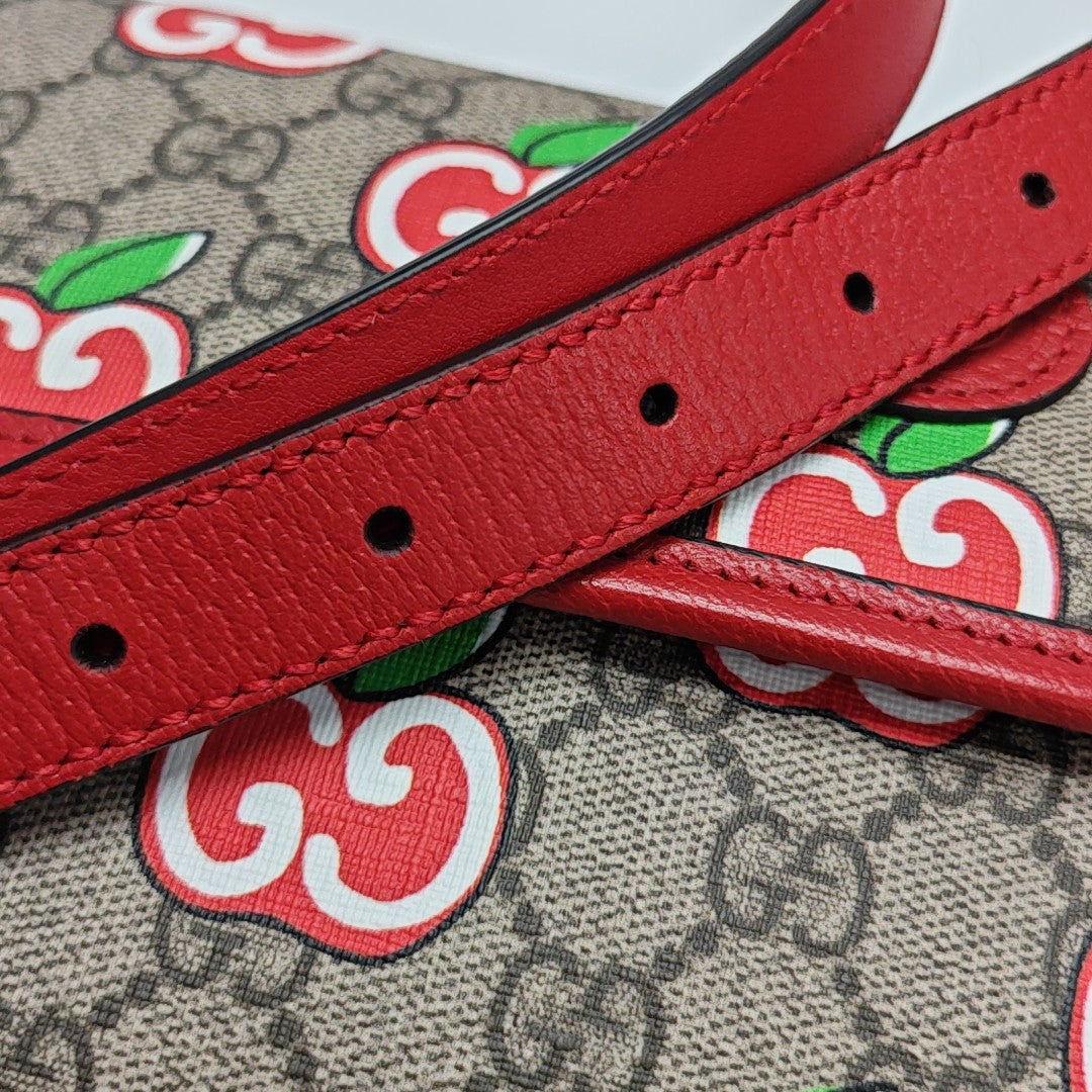 Neo Vintage Monogram Coated Canvas Red