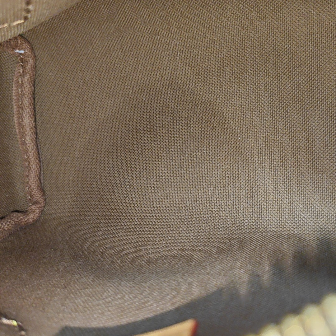 SPEEDY Nano Monogram Coated Canvas Brown
