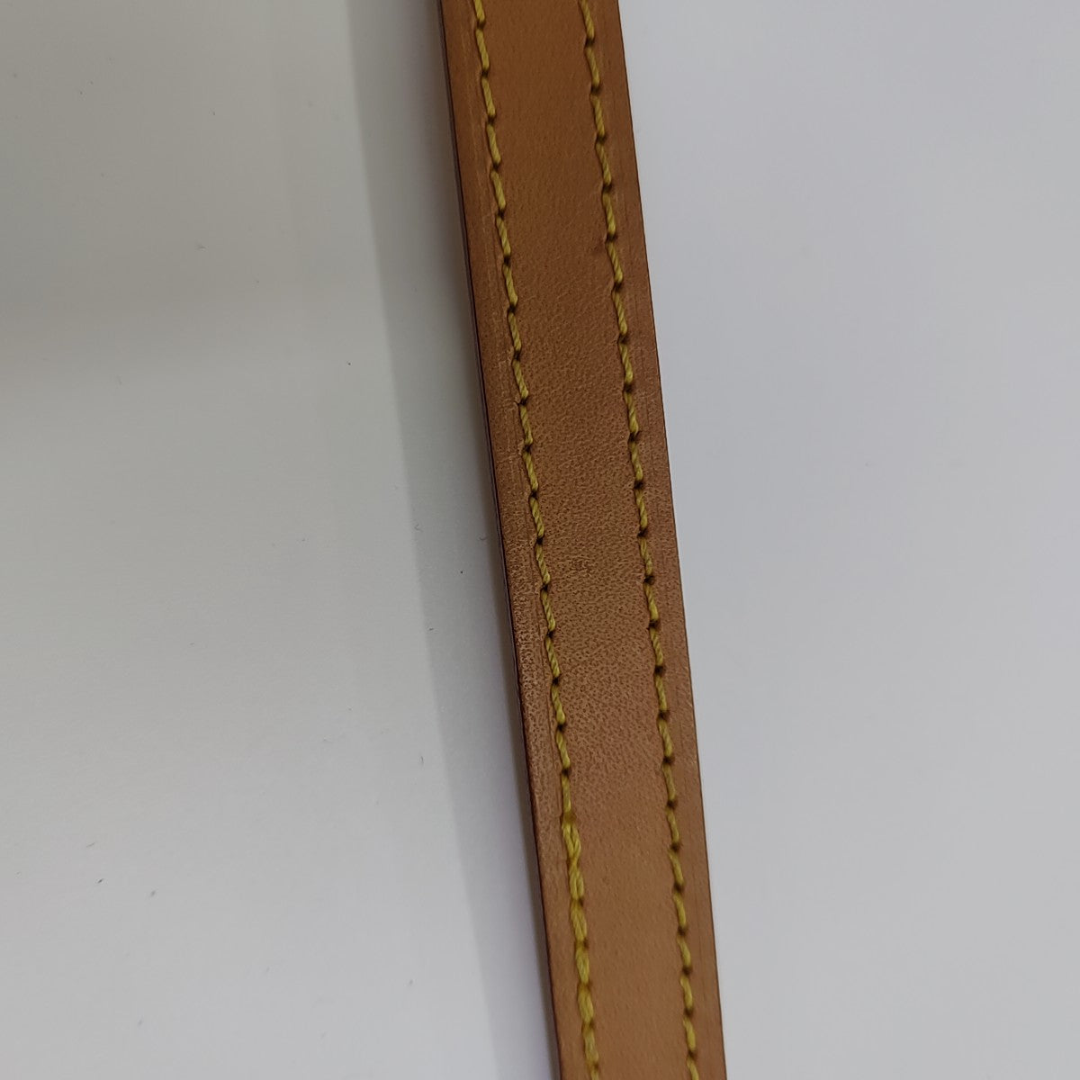 SPEEDY Nano Monogram Coated Canvas Brown
