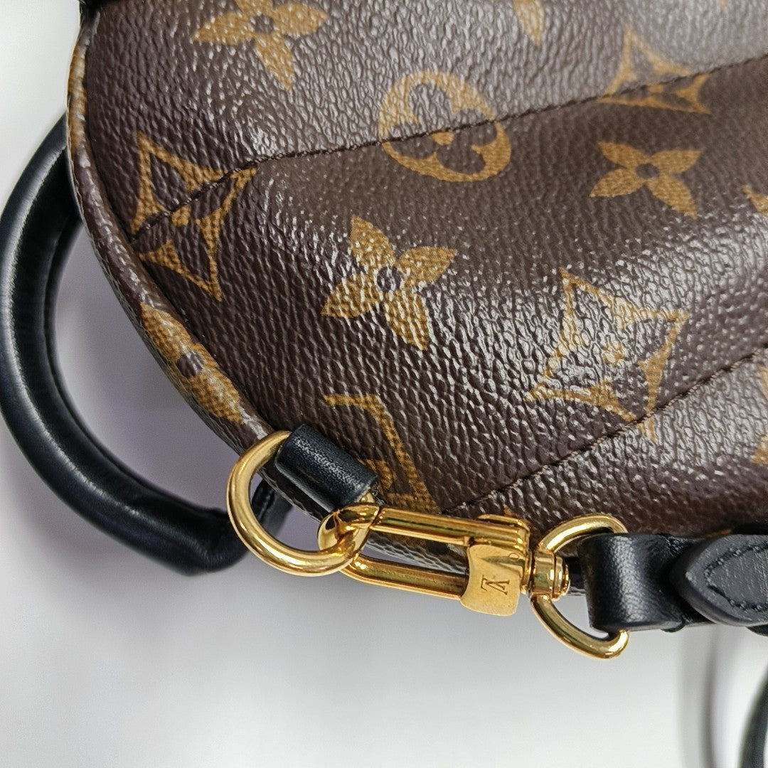 PALM SPRINGS Mini Monogram Coated Canvas Brown