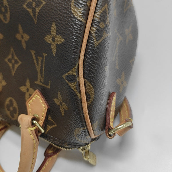 SPEEDY Nano Monogram Coated Canvas Brown