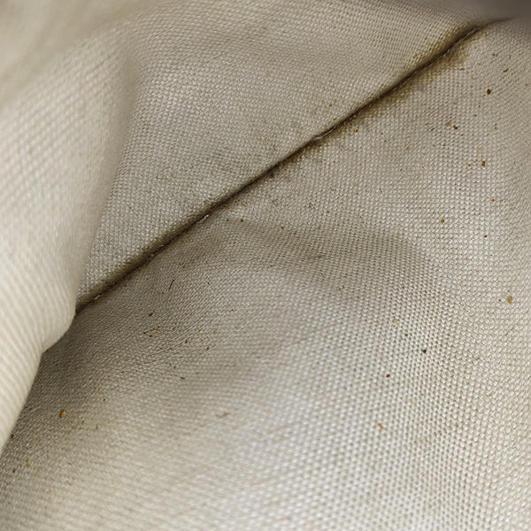 Neo Vintage Monogram Coated Canvas Beige