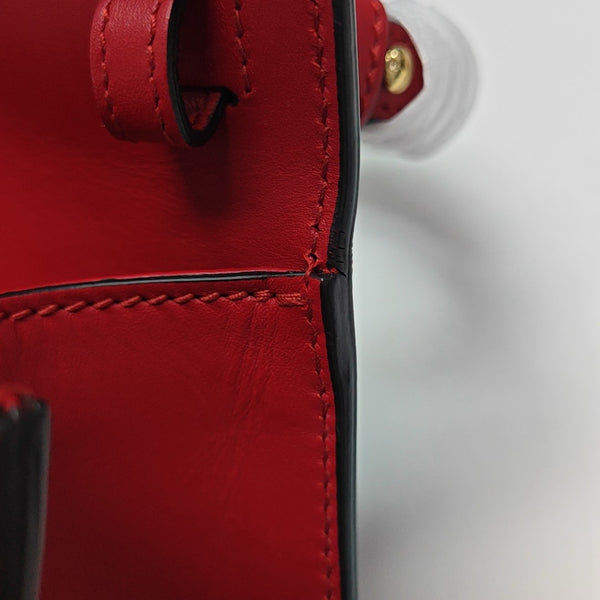 Sylvie Mini Calfskin Red