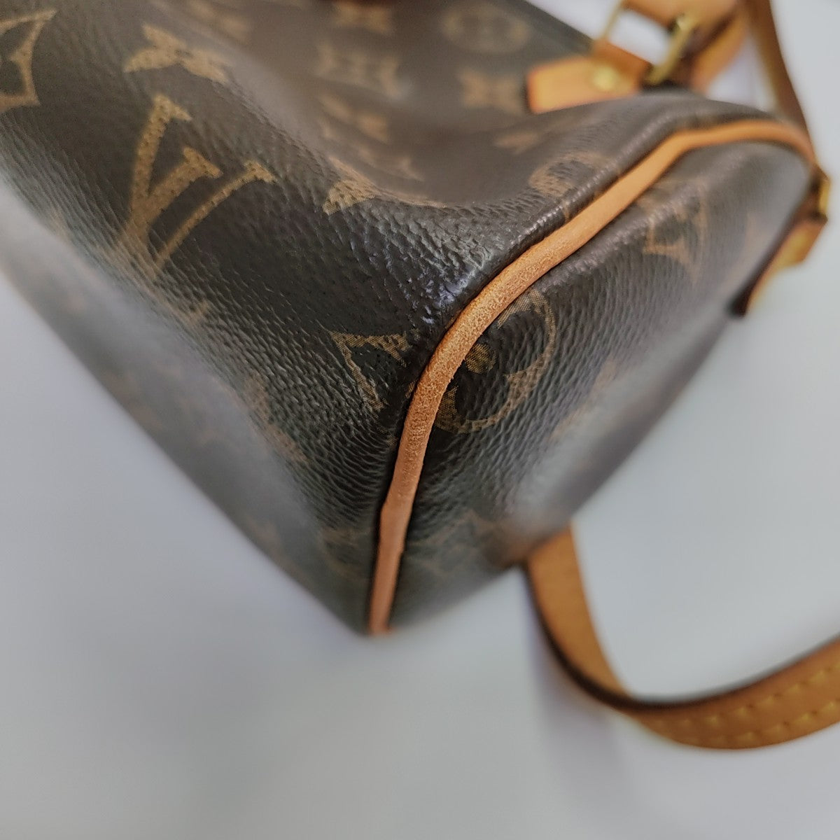 SPEEDY Nano Monogram Coated Canvas Brown