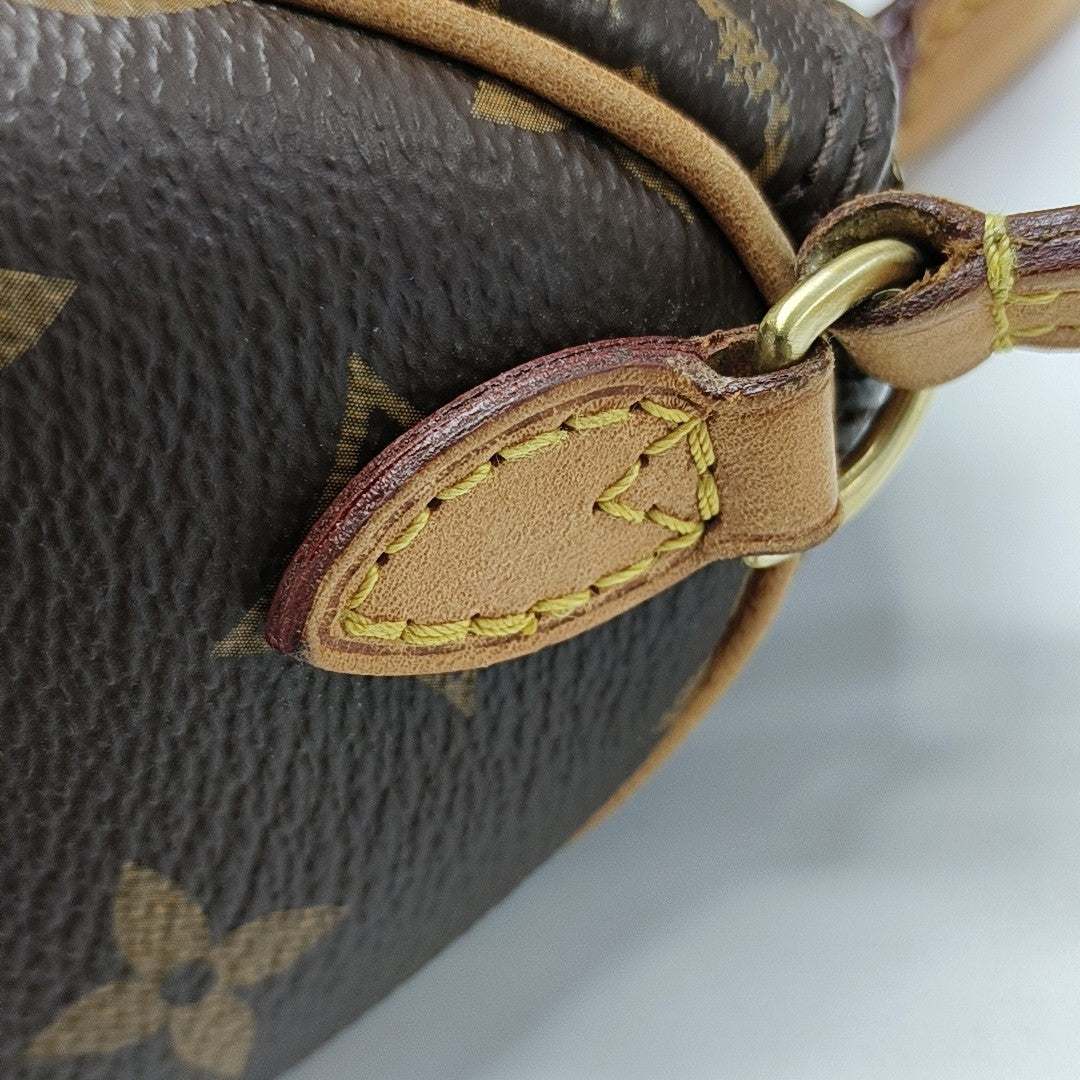 SPEEDY Nano Monogram Coated Canvas Brown