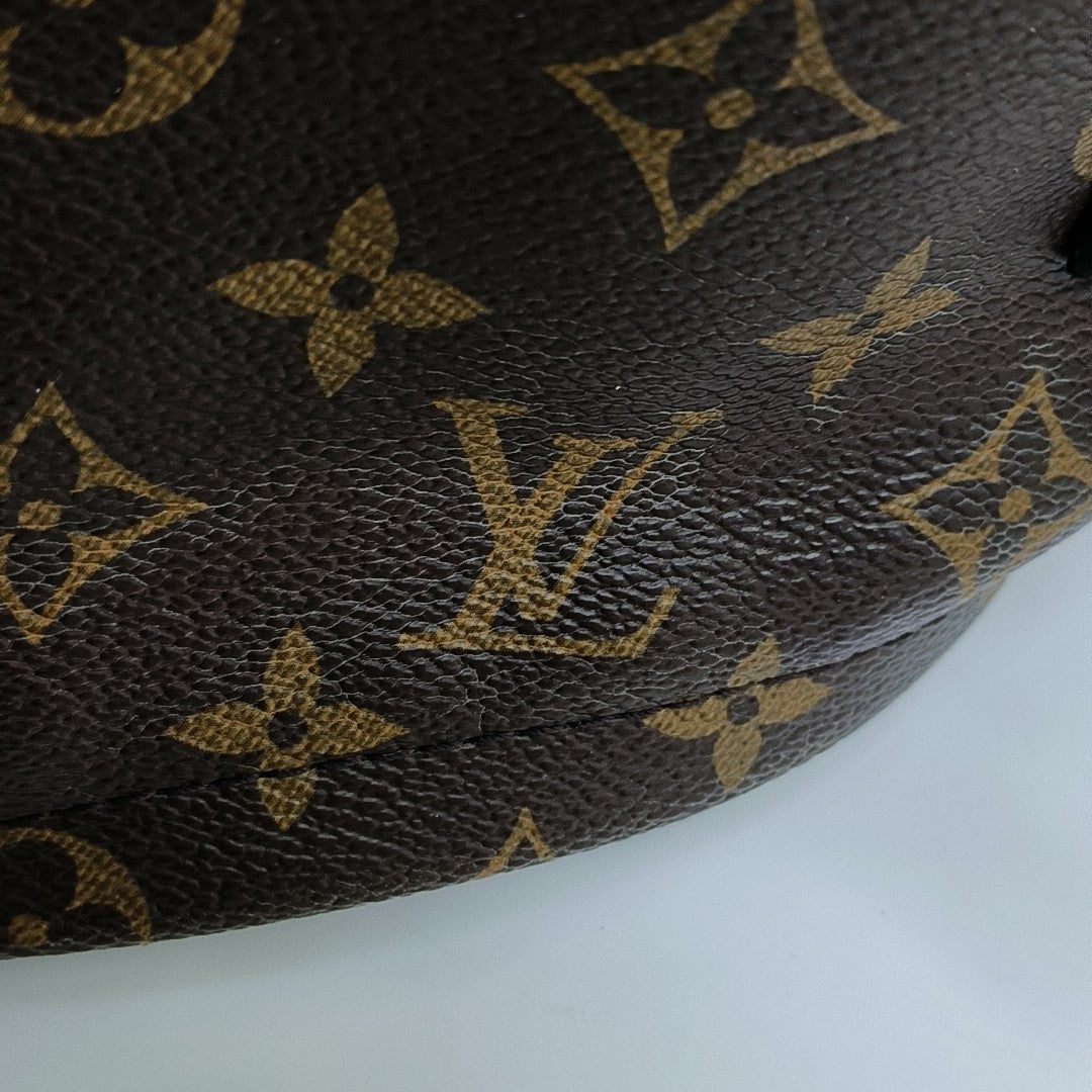 Monogram Coated Canvas Backpack Brown