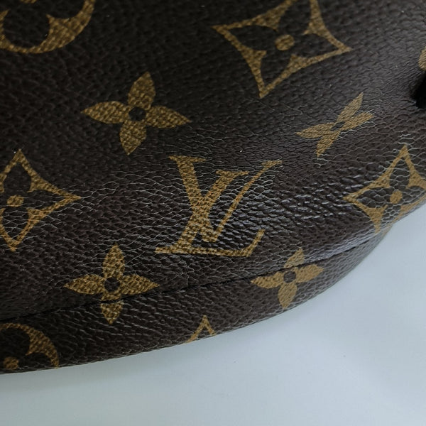 Monogram Coated Canvas Backpack Brown
