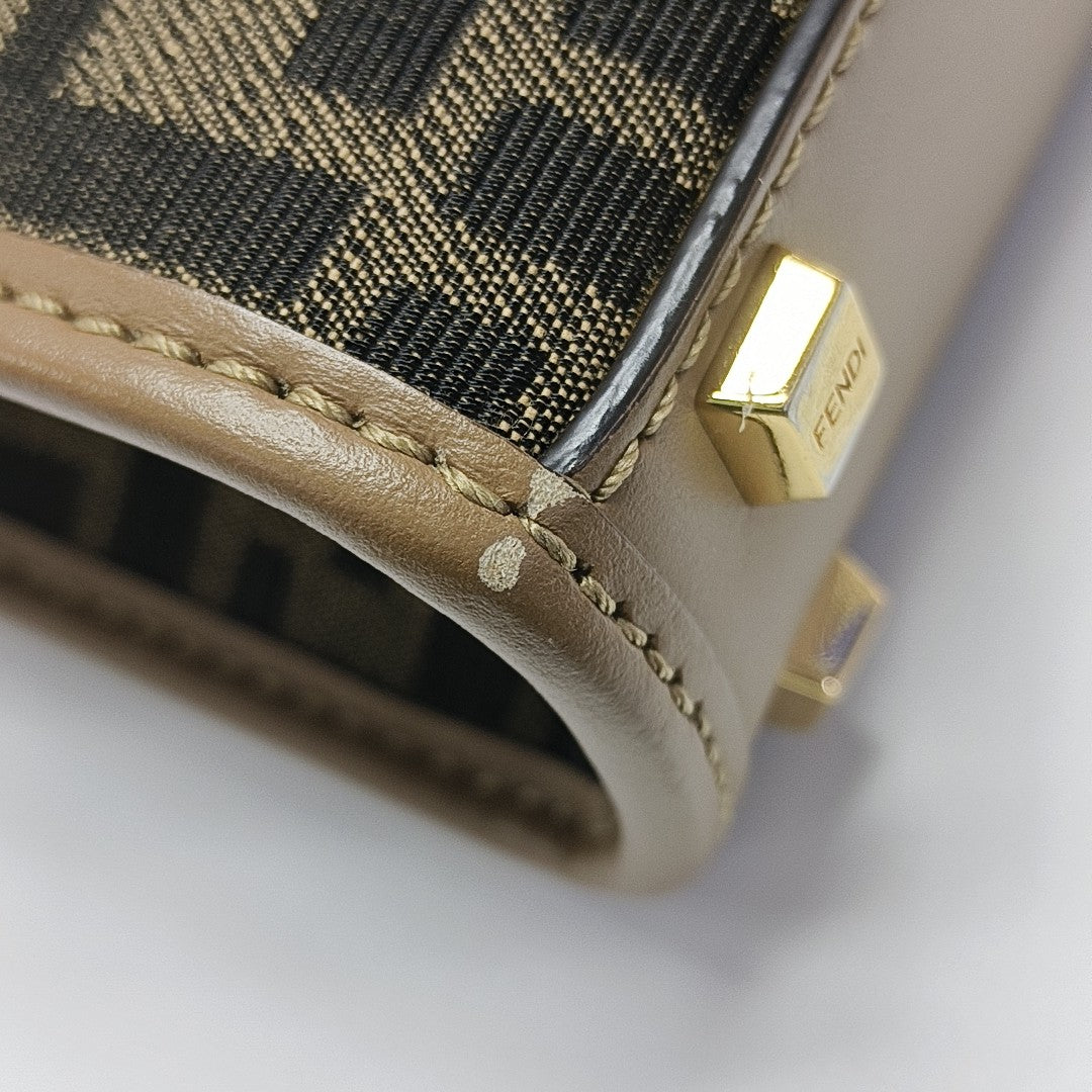 Sunshine Mini Canvas Brown
