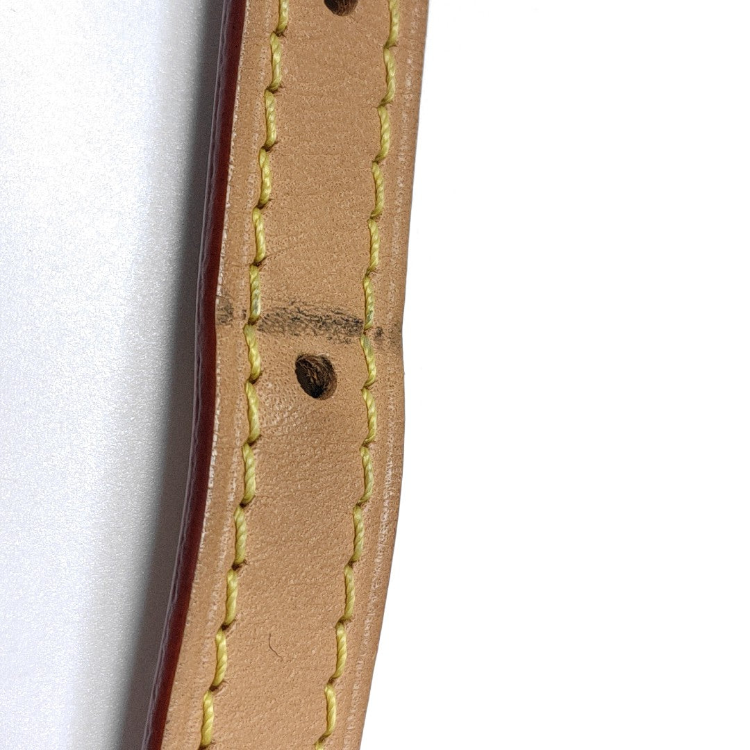 SPEEDY Nano Monogram Coated Canvas Brown