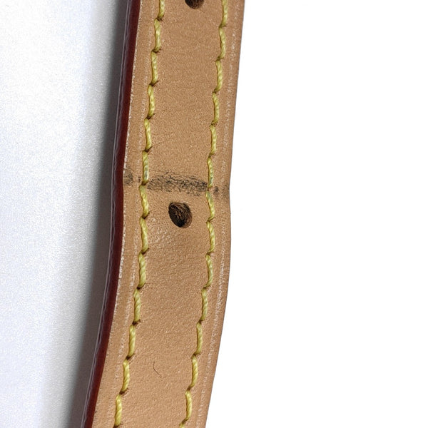 SPEEDY Nano Monogram Coated Canvas Brown
