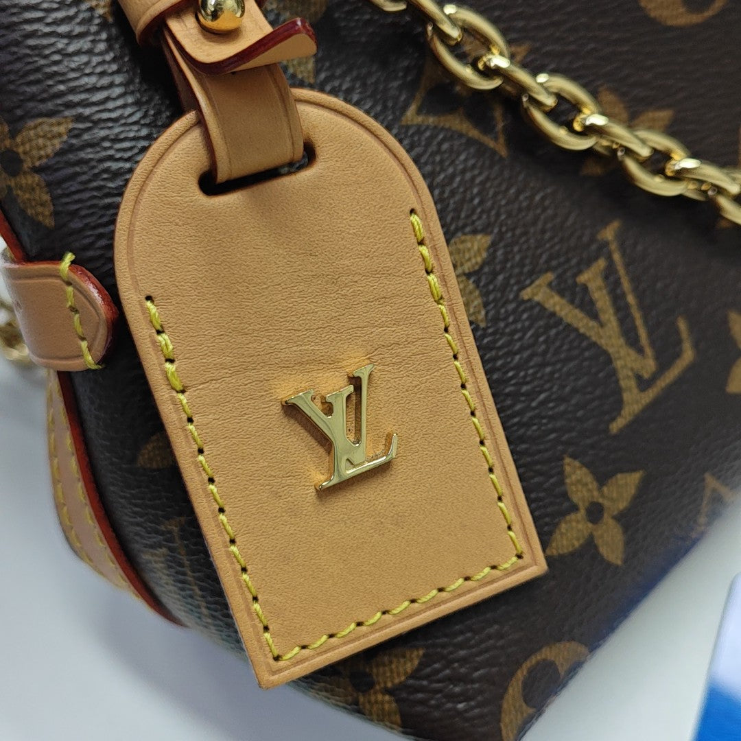 CARRYALL BB Monogram Coated Canvas Brown