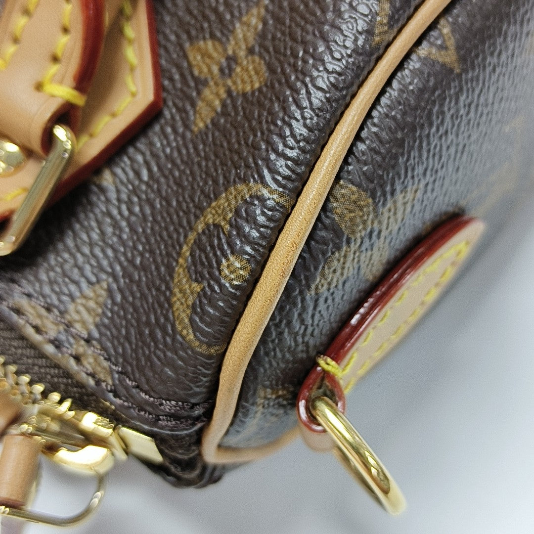 SPEEDY Nano Monogram Coated Canvas Brown