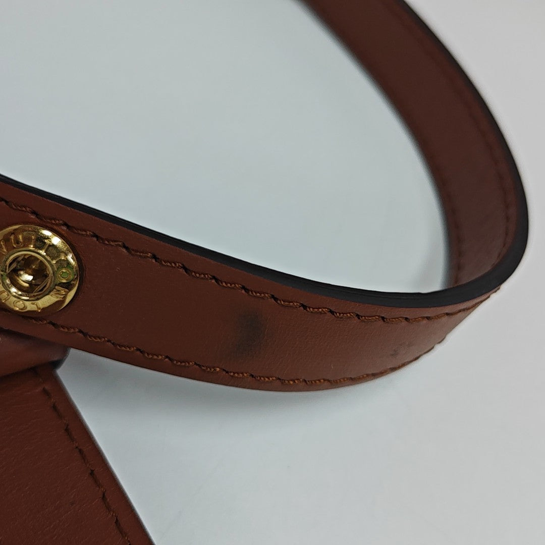 DAUPHINE MM Monogram Coated Canvas Brown