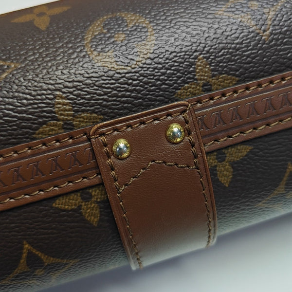 PAPILLON 19 Monogram Coated Canvas Brown