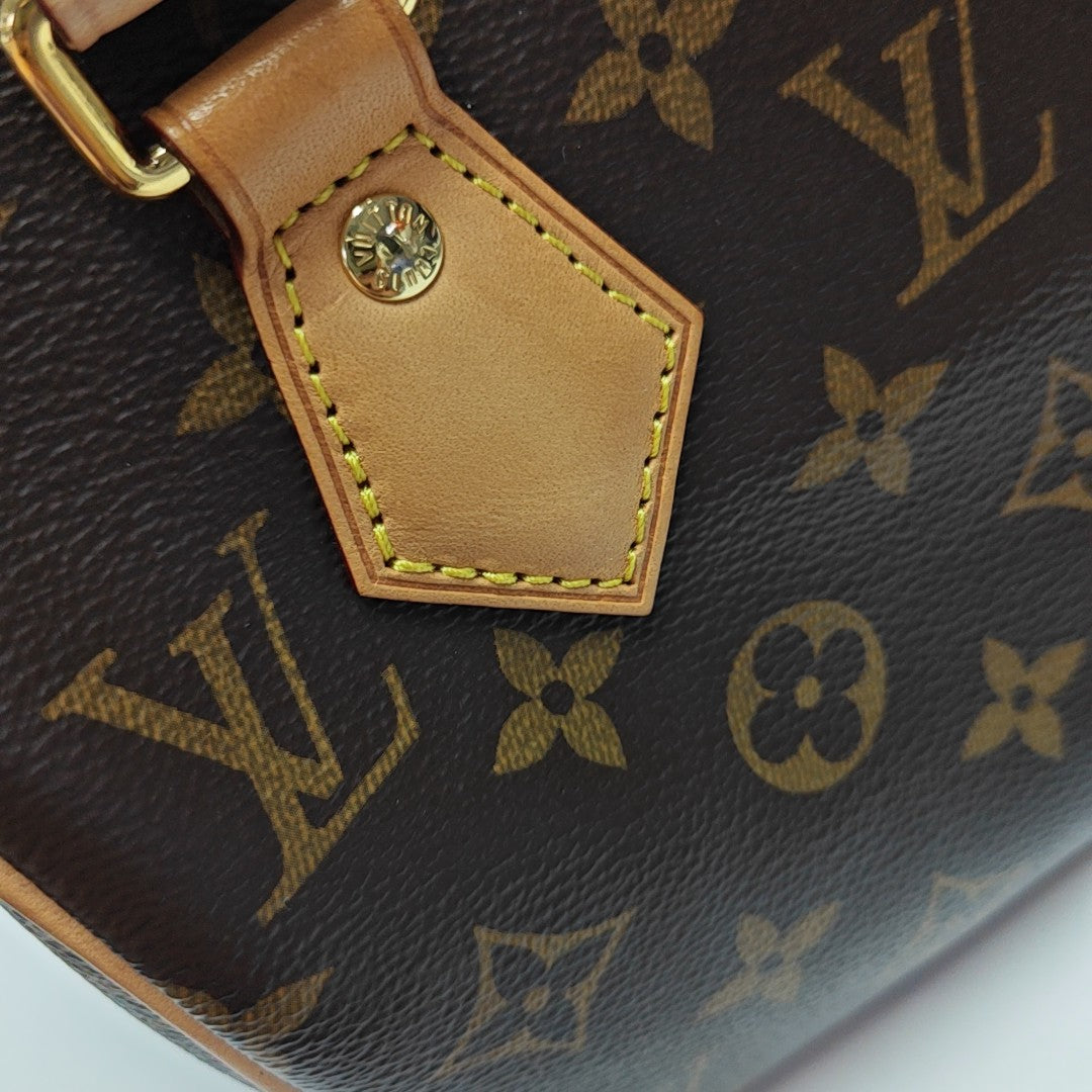 SPEEDY 20 Monogram Coated Canvas Brown