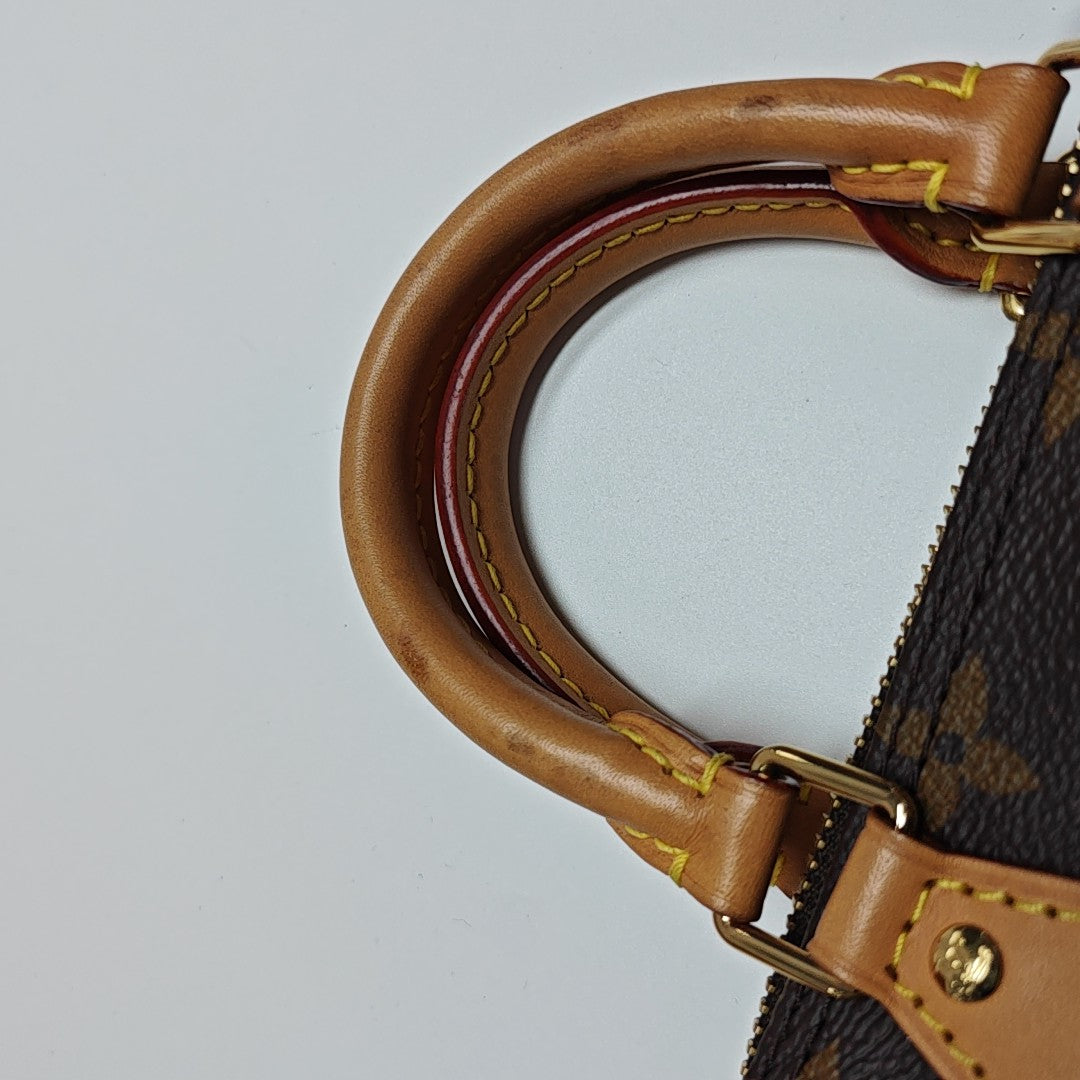 SPEEDY Nano Monogram Coated Canvas Brown