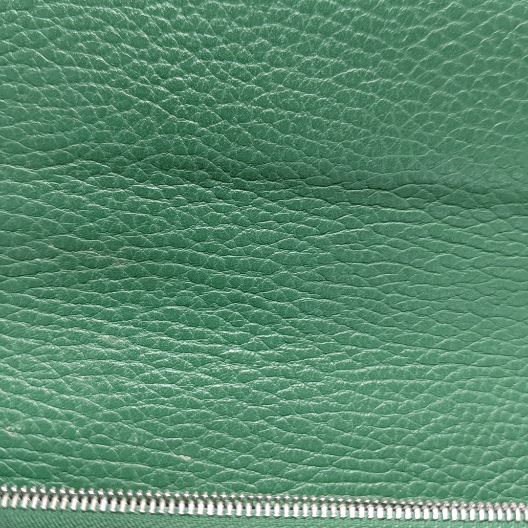 Dionysus Mini Calfskin Green