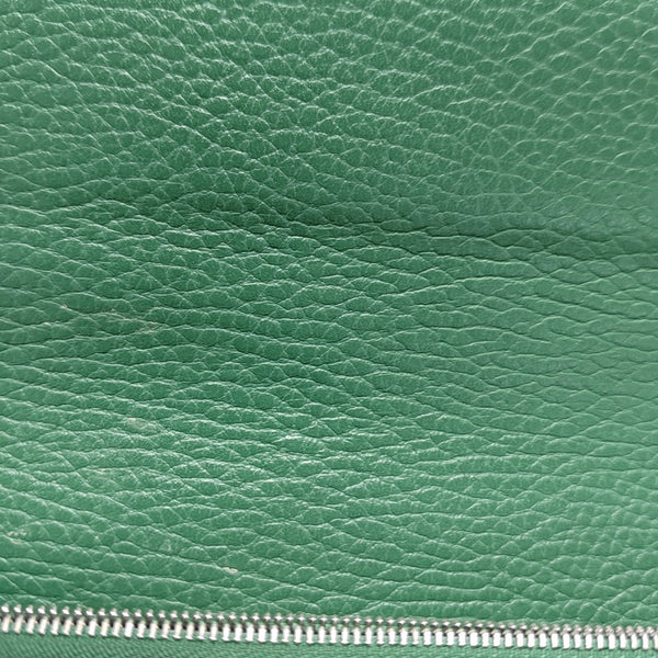 Dionysus Mini Calfskin Green