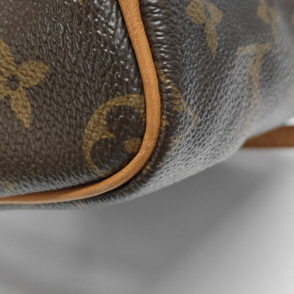 SPEEDY Nano Monogram Coated Canvas Brown
