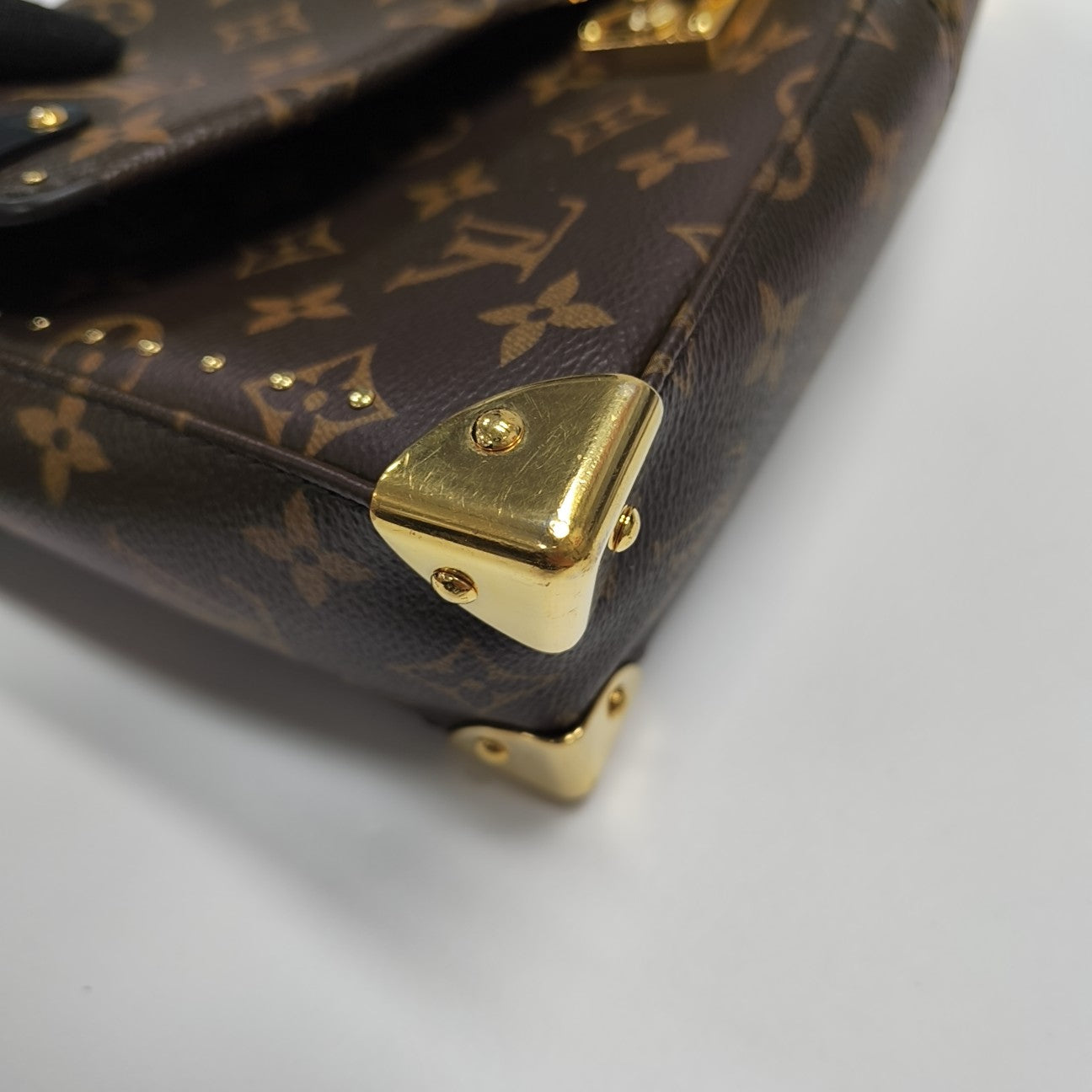 TRUNKIE Monogram Coated Canvas Brown