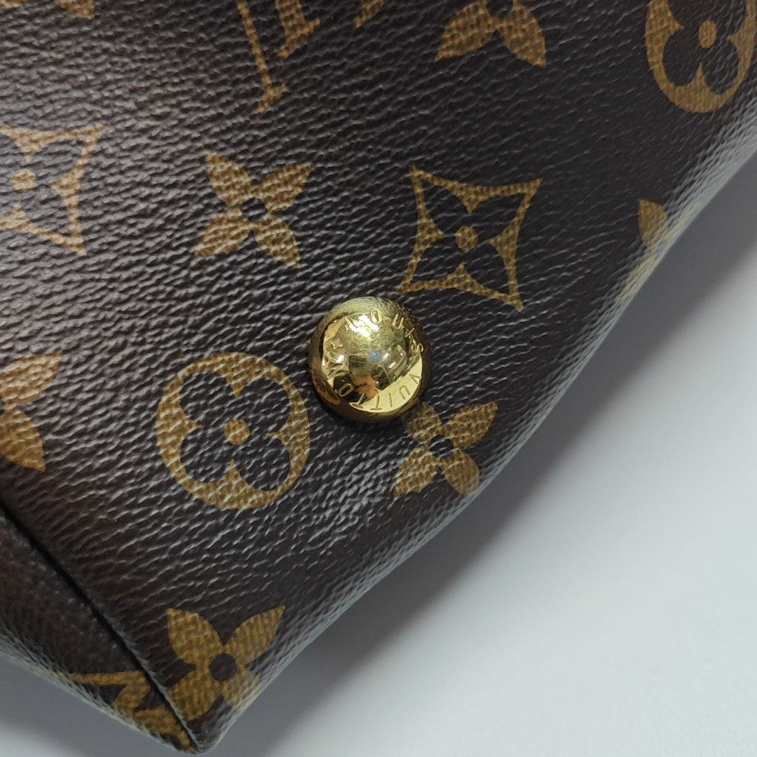 CARRYALL PM Monogram Coated Canvas Brown