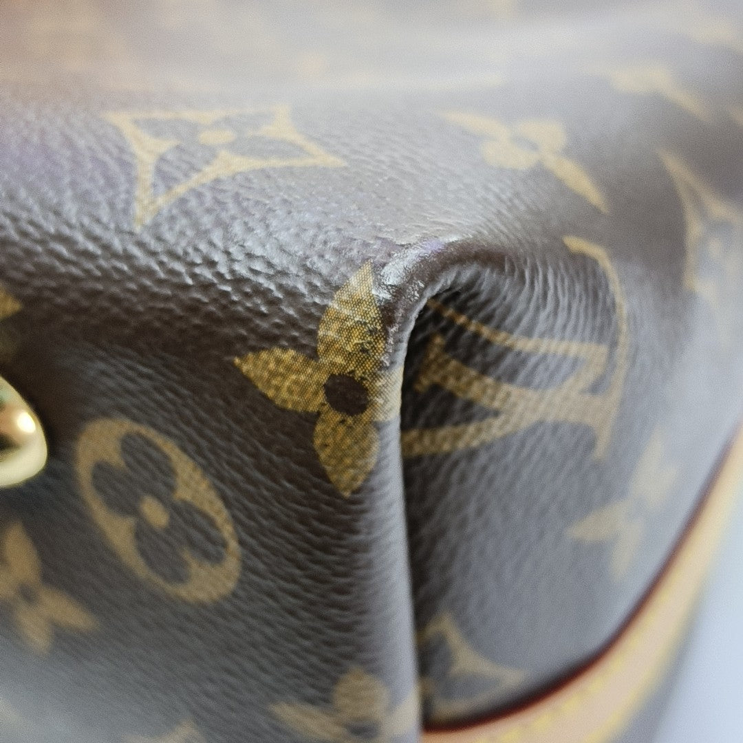 CARRYALL PM Monogram Coated Canvas Brown