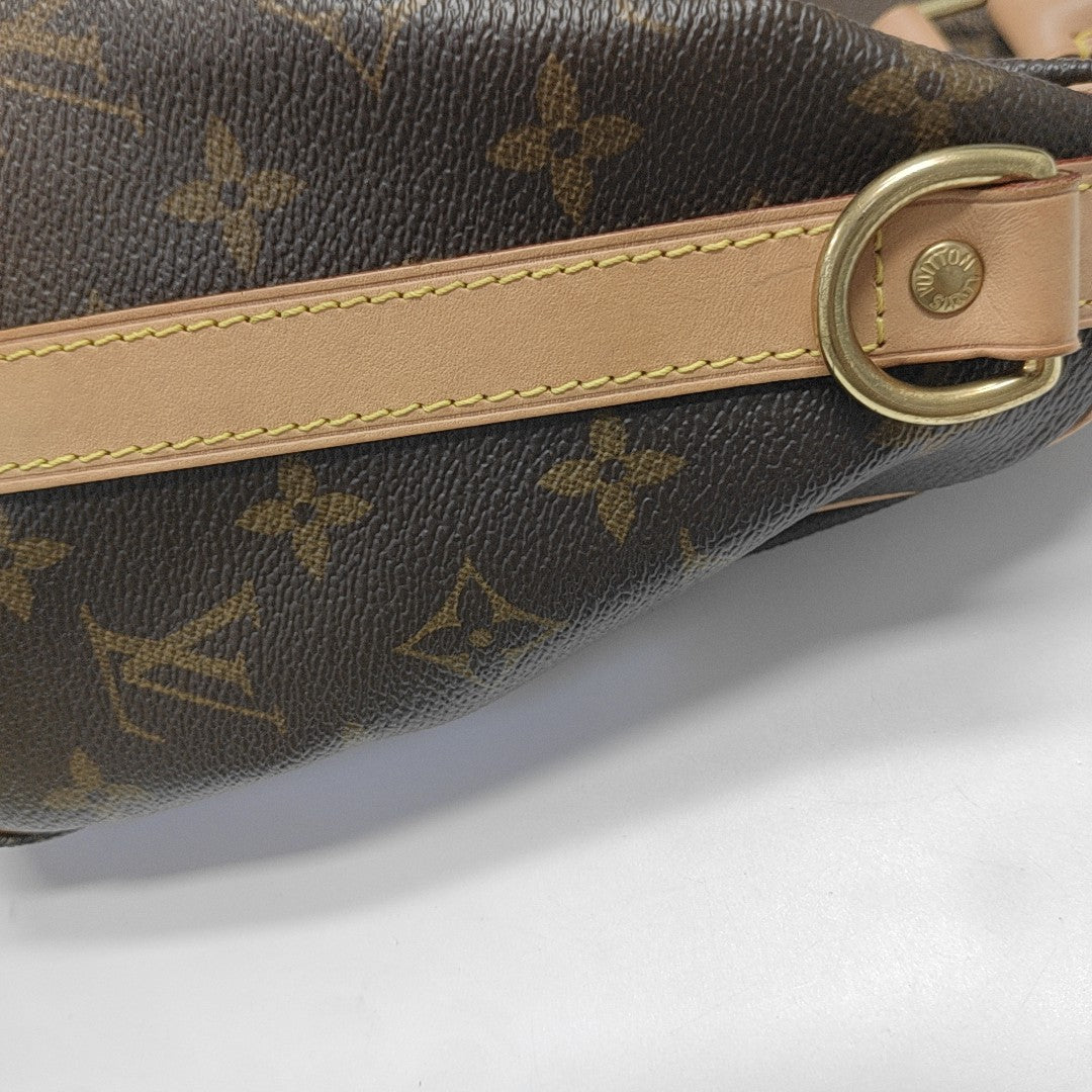 SPEEDY 25 Monogram Coated Canvas Brown