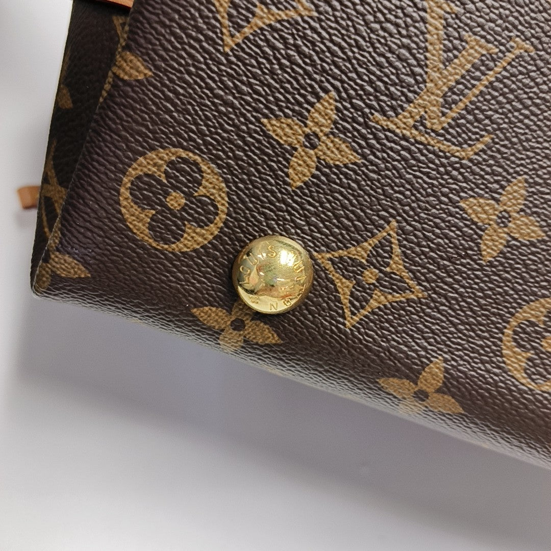 CARRYALL PM Monogram Coated Canvas Brown