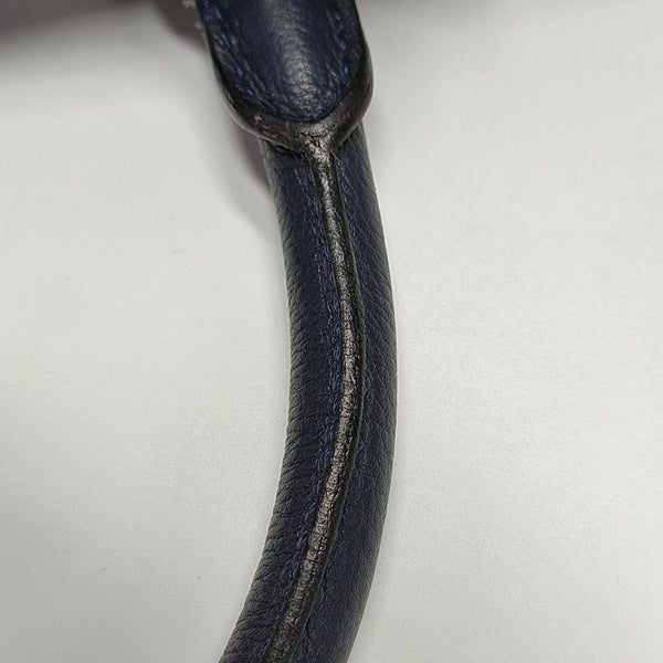 Amazona Calfskin Blue