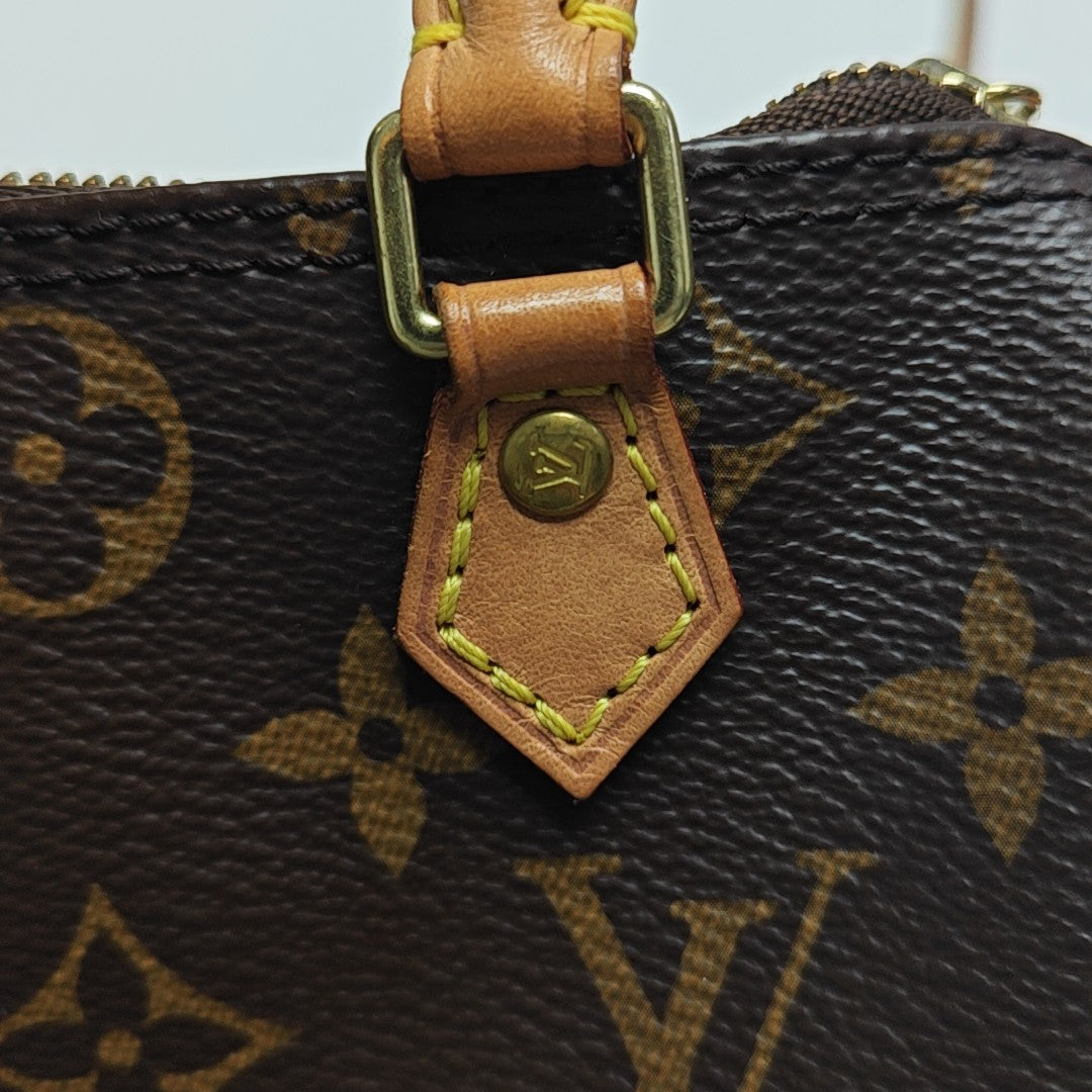 SPEEDY Nano Monogram Coated Canvas Brown