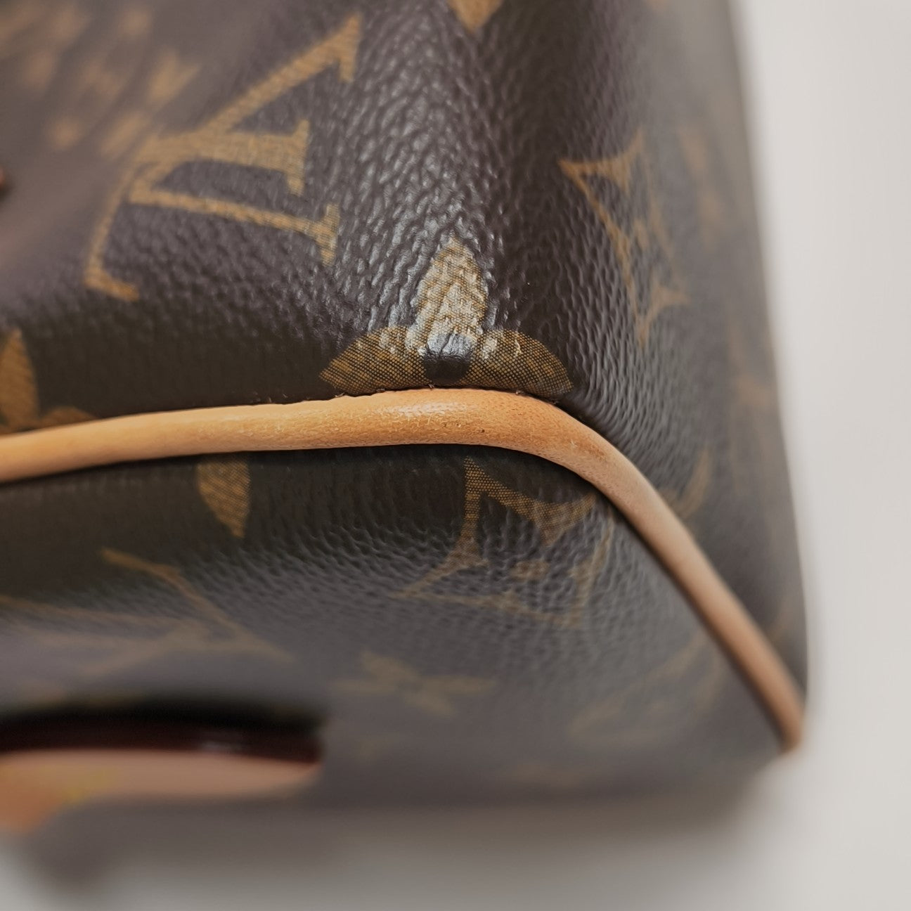 SPEEDY 20 Monogram Coated Canvas Brown