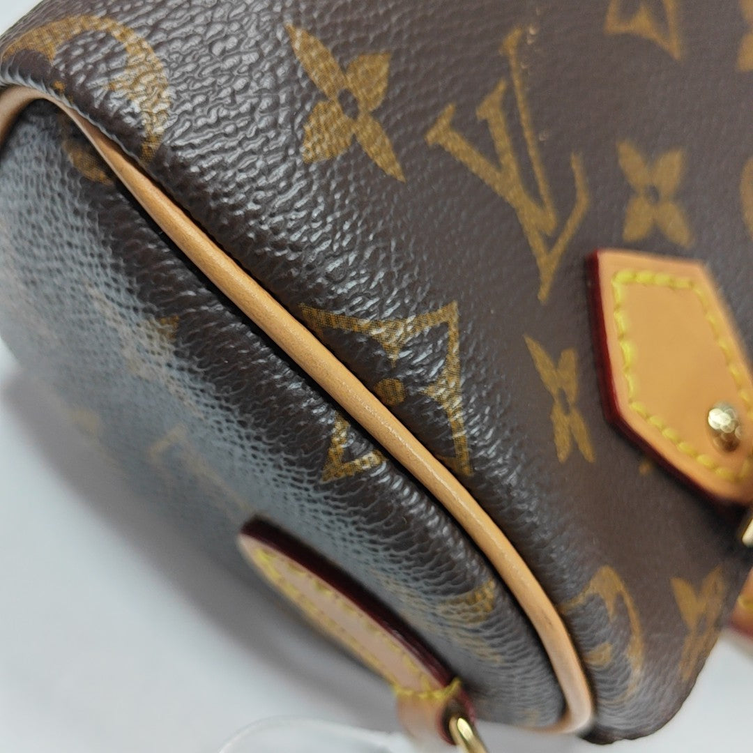 SPEEDY Nano Monogram Coated Canvas Brown