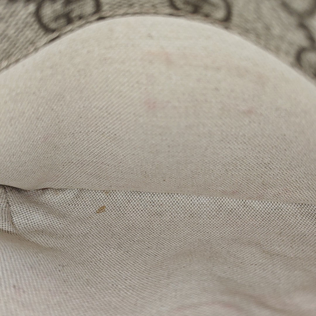 Neo Vintage Small Monogram Coated Canvas Beige