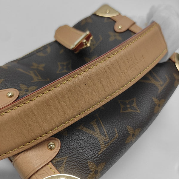 SIDE TRUNK PM Monogram Coated Canvas Brown