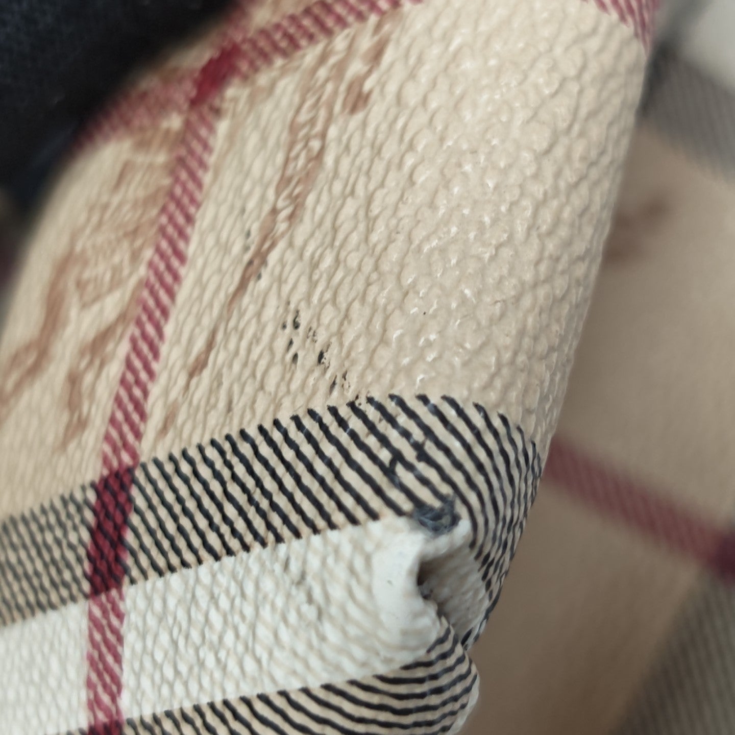 Salisbury Coated Canvas Beige