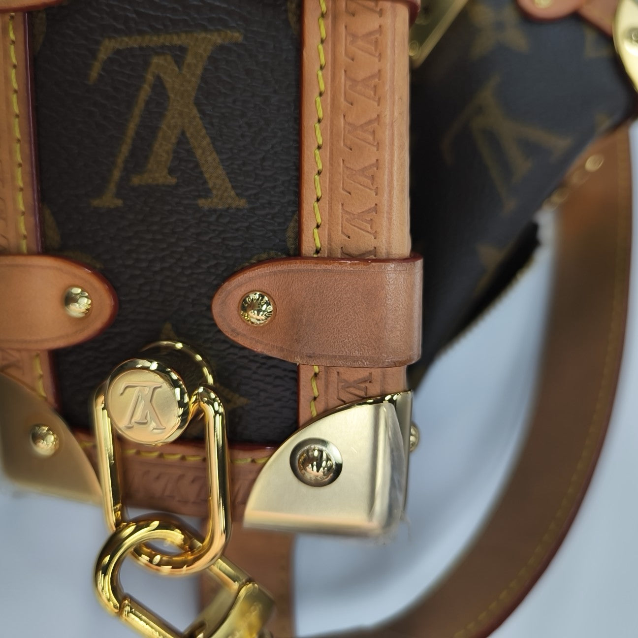 SIDE TRUNK PM Monogram Coated Canvas Brown