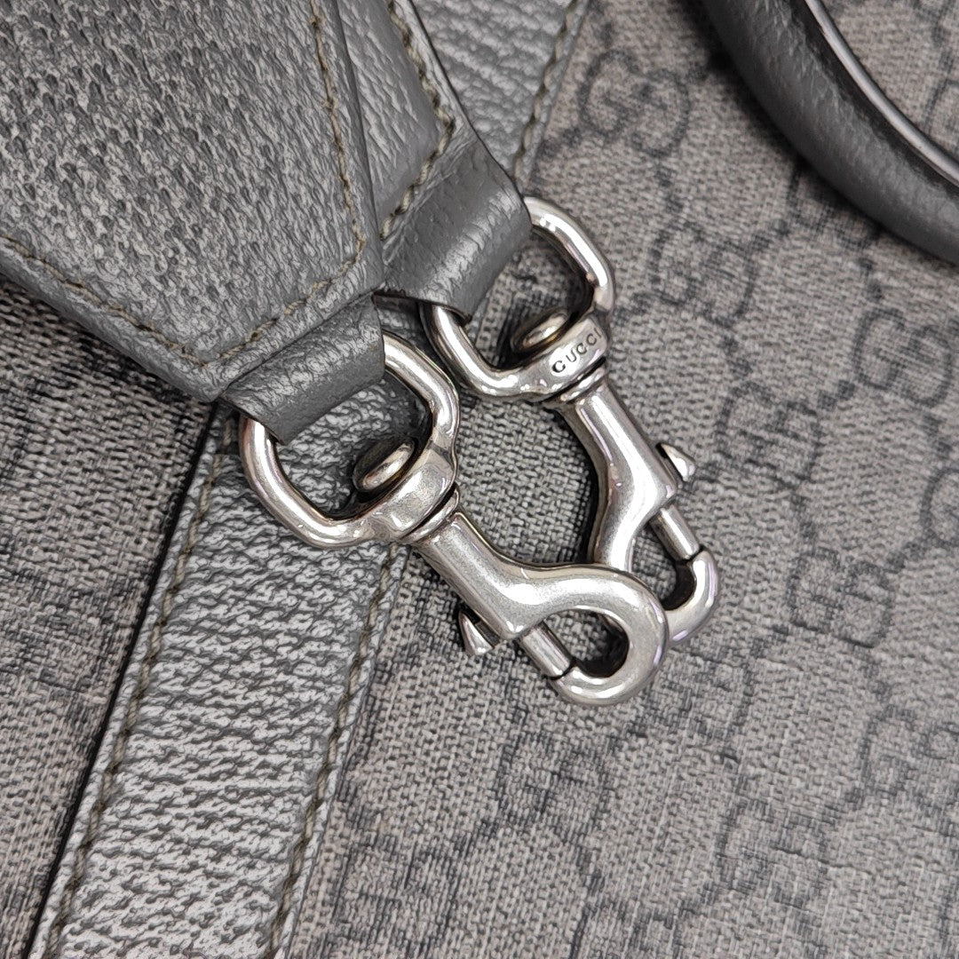 GG Multicolor Monogram Coated Canvas Gray