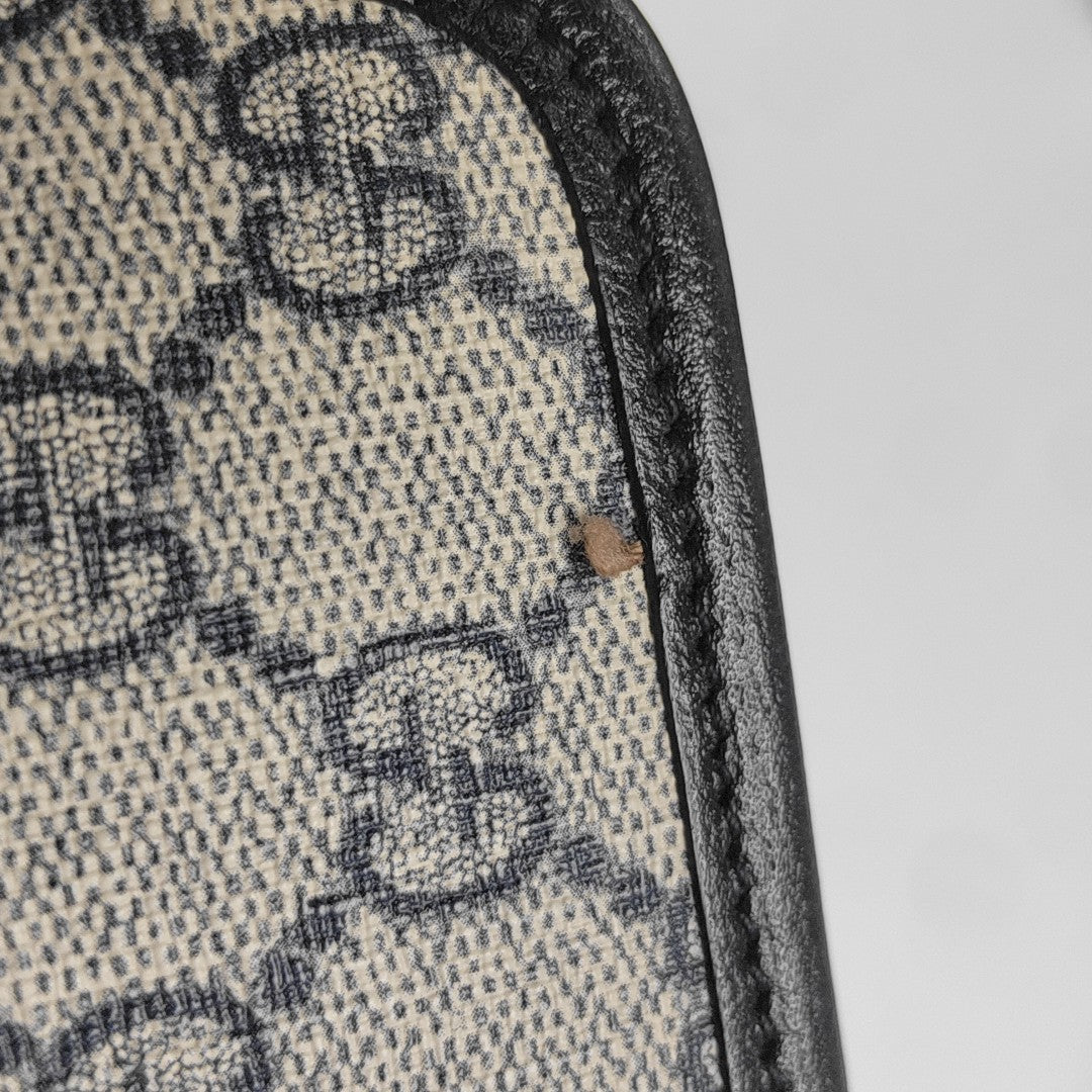 GG Supreme Mini Monogram Coated Canvas Beige