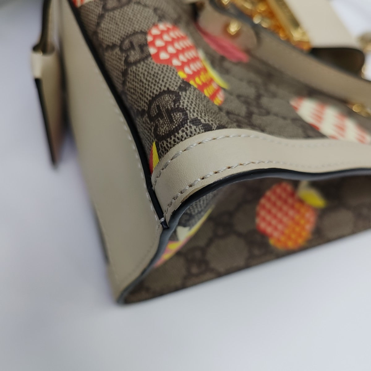 Padlock Small Monogram Coated Canvas Multicolor